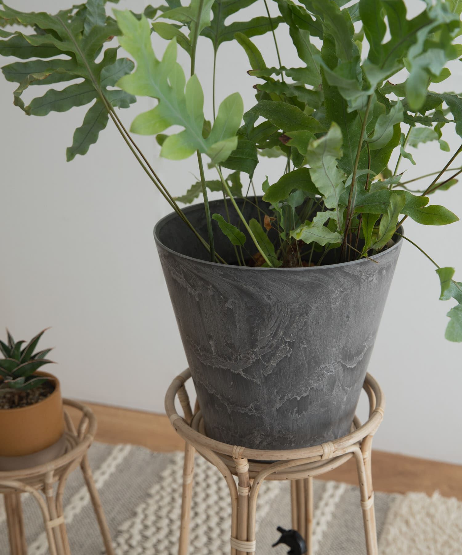 URBAN RESEARCH DOORS「『WEB限定』amabro　ART STONE M」|フィギュア・ホビー|