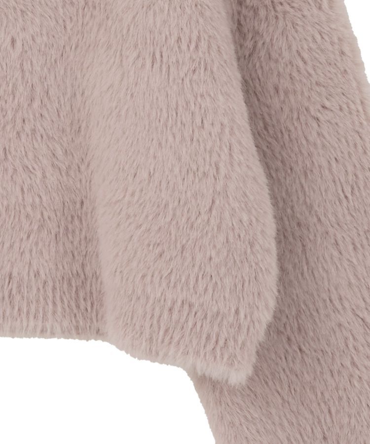 earth music&ecology「Wフェイスシャギープルオーバー」|ニット・セーター|