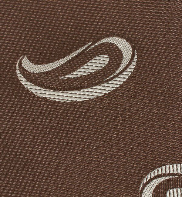 UNITED ARROWS「＜HOLLIDAY＆BROWN＞ペイズリー ジャガード ネクタイ」|ネクタイ・蝶ネクタイ|