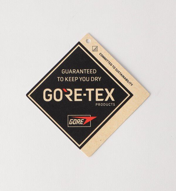 UNITED ARROWS green label relaxing「＜texcy luxe＞ダブルモンク GORE-TEX ドレスシューズ」|ビジネス・ドレスシューズ|