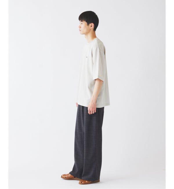 JOURNAL STANDARD relume「LACOSTE / ラコステ 別注ヘビーピケ Tシャツ」|Tシャツ・カットソー|