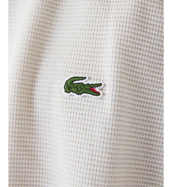 JOURNAL STANDARD relume「LACOSTE / ラコステ 別注ヘビーピケ Tシャツ」|Tシャツ・カットソー|