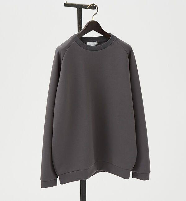 ABAHOUSE「【インバーテッドプリーツ】 ダンボールニット プルオーバー / クルーネック ス」|スウェット・ジャージ|