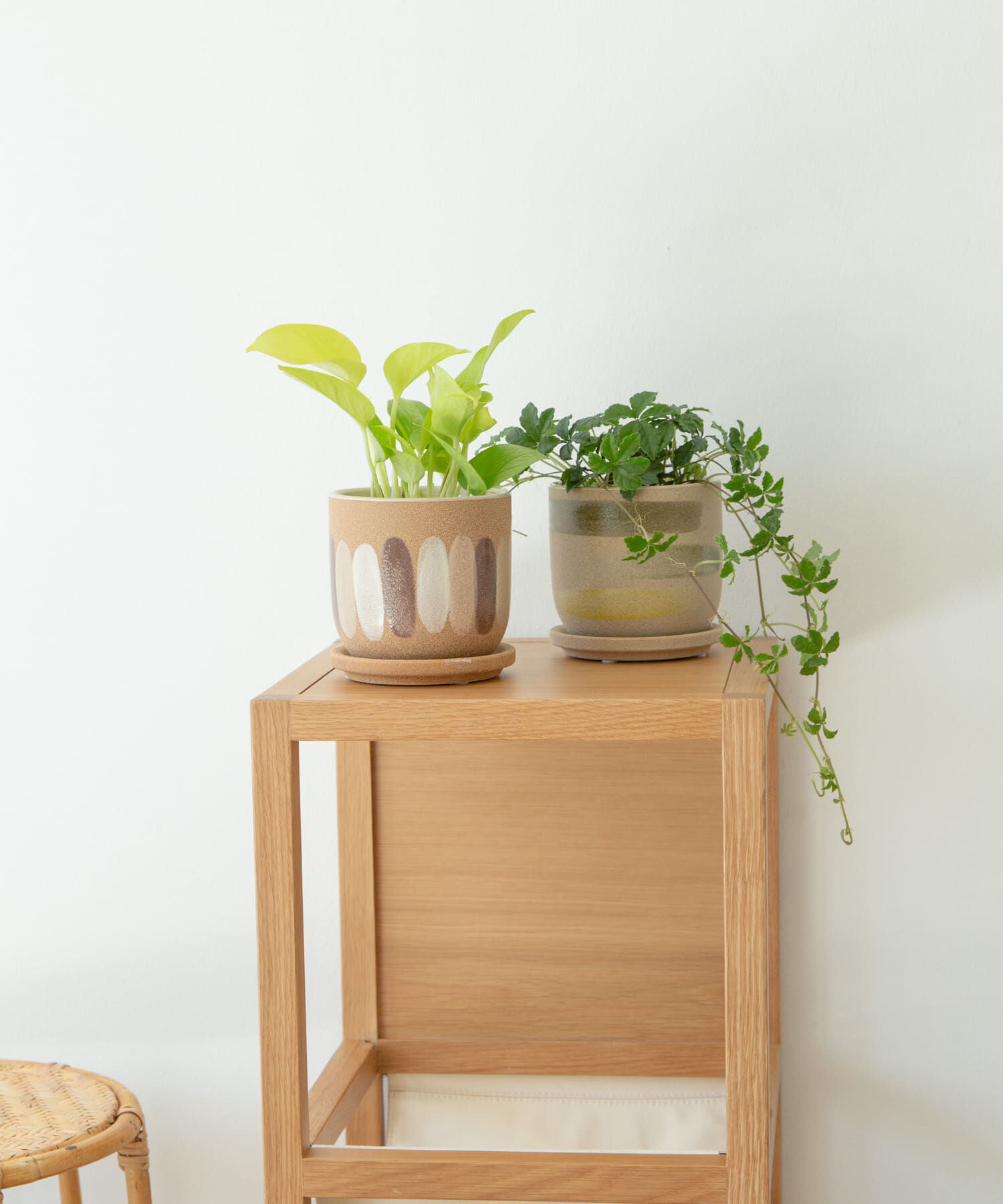 URBAN RESEARCH DOORS「FARM　デシレ 11C」|フィギュア・ホビー|