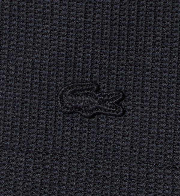 BEAUTY&YOUTH UNITED ARROWS「＜LACOSTE for BEAUTY&YOUTH＞ワントーン ショートパンツ」|その他|