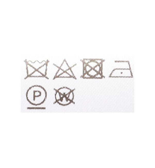 Demi-Luxe BEAMS 「BAUM UND PFERDGARTEN / ファンシー オーガンジー シャツ」|シャツ・ブラウス|