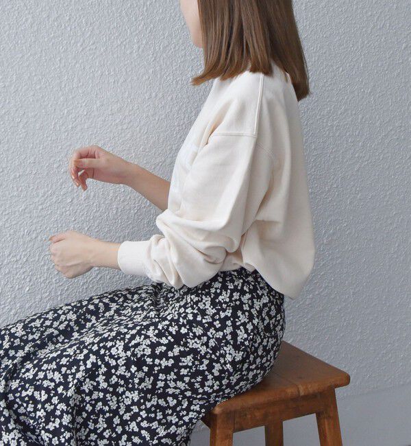 SHIPS any「【WEB限定】SHIPS any: NATIONAL PARK プリント スウェット 23AW◇」|スウェット・ジャージ|