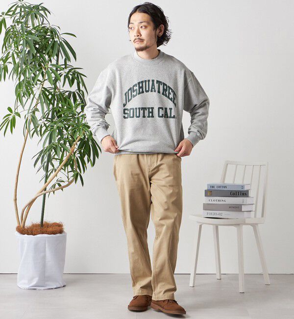 SHIPS any「【WEB限定】SHIPS any: NATIONAL PARK プリント スウェット 23AW◇」|スウェット・ジャージ|