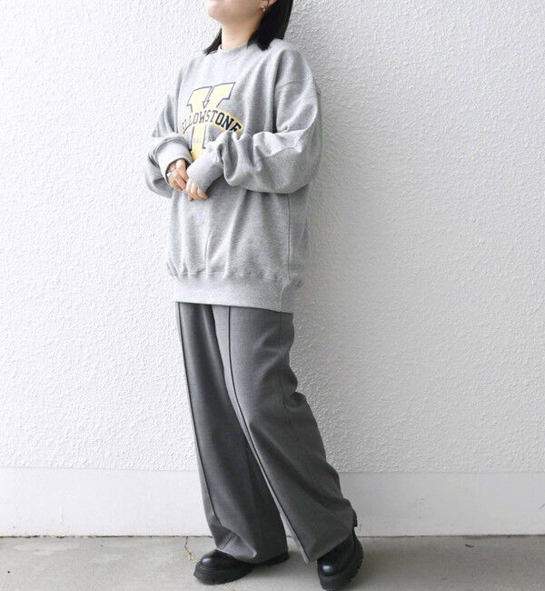 SHIPS any「【WEB限定】SHIPS any: NATIONAL PARK プリント スウェット 23AW◇」|スウェット・ジャージ|