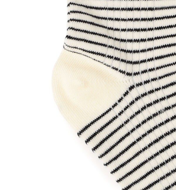 SHIPS any「Robert P.Miller: ボーダー リブ ソックス」|ソックス|