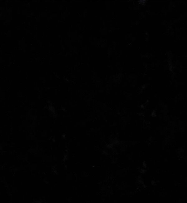 Edition「クラッシュベロアTシャツ」|Tシャツ・カットソー|