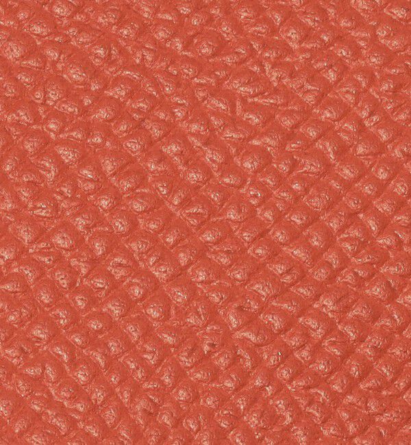 TOMORROWLAND GOODS「【別注】BROOKLYN MUSEUM シュリンクレザー フラグメントケース」|財布|