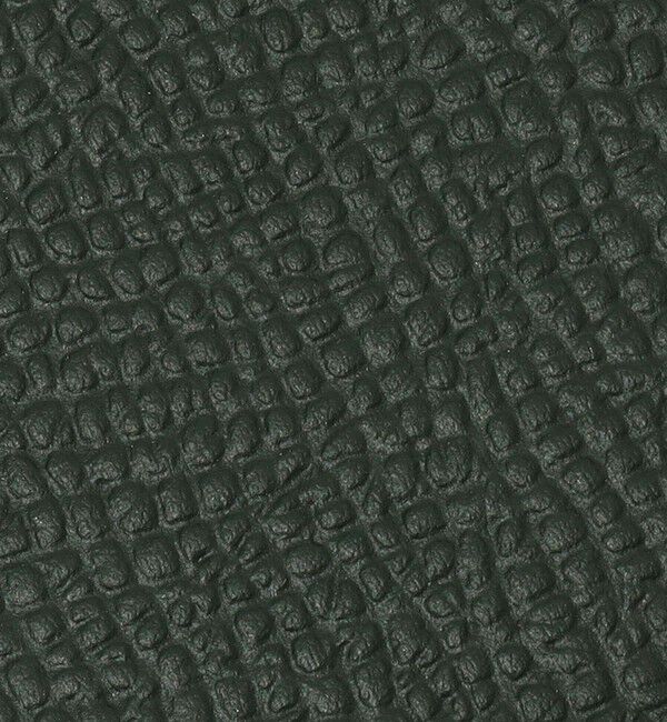 TOMORROWLAND GOODS「【別注】BROOKLYN MUSEUM シュリンクレザー フラグメントケース」|財布|