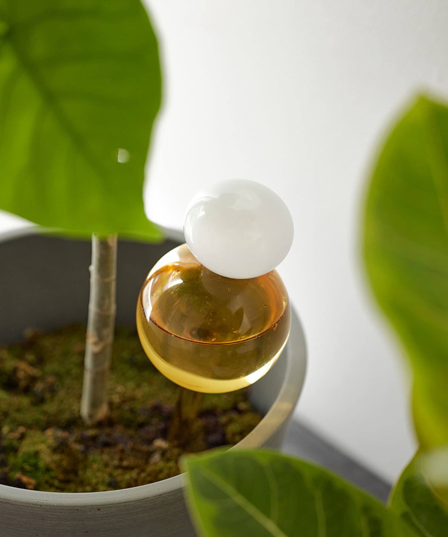 URBAN RESEARCH DOORS「shesay　ガラスのディスペンサーS」|フィギュア・ホビー|