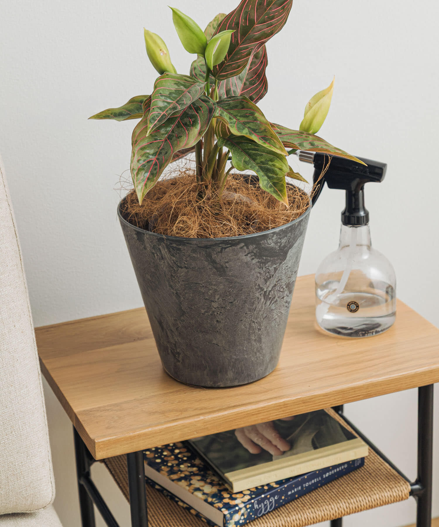 URBAN RESEARCH DOORS「amabro　ART STONE S GY」|フィギュア・ホビー|