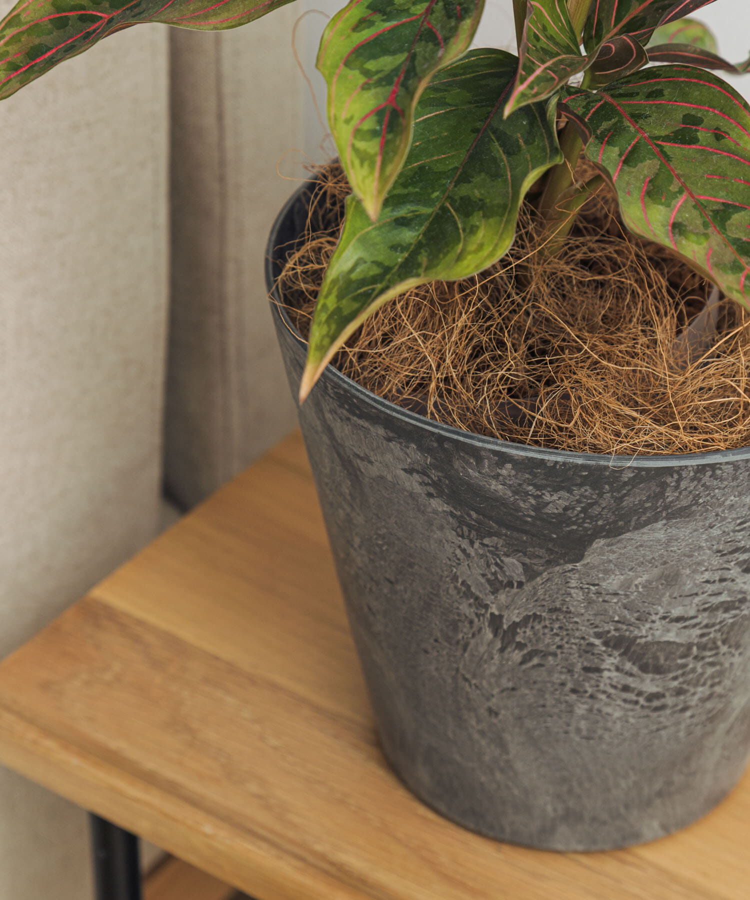 URBAN RESEARCH DOORS「amabro　ART STONE S GY」|フィギュア・ホビー|