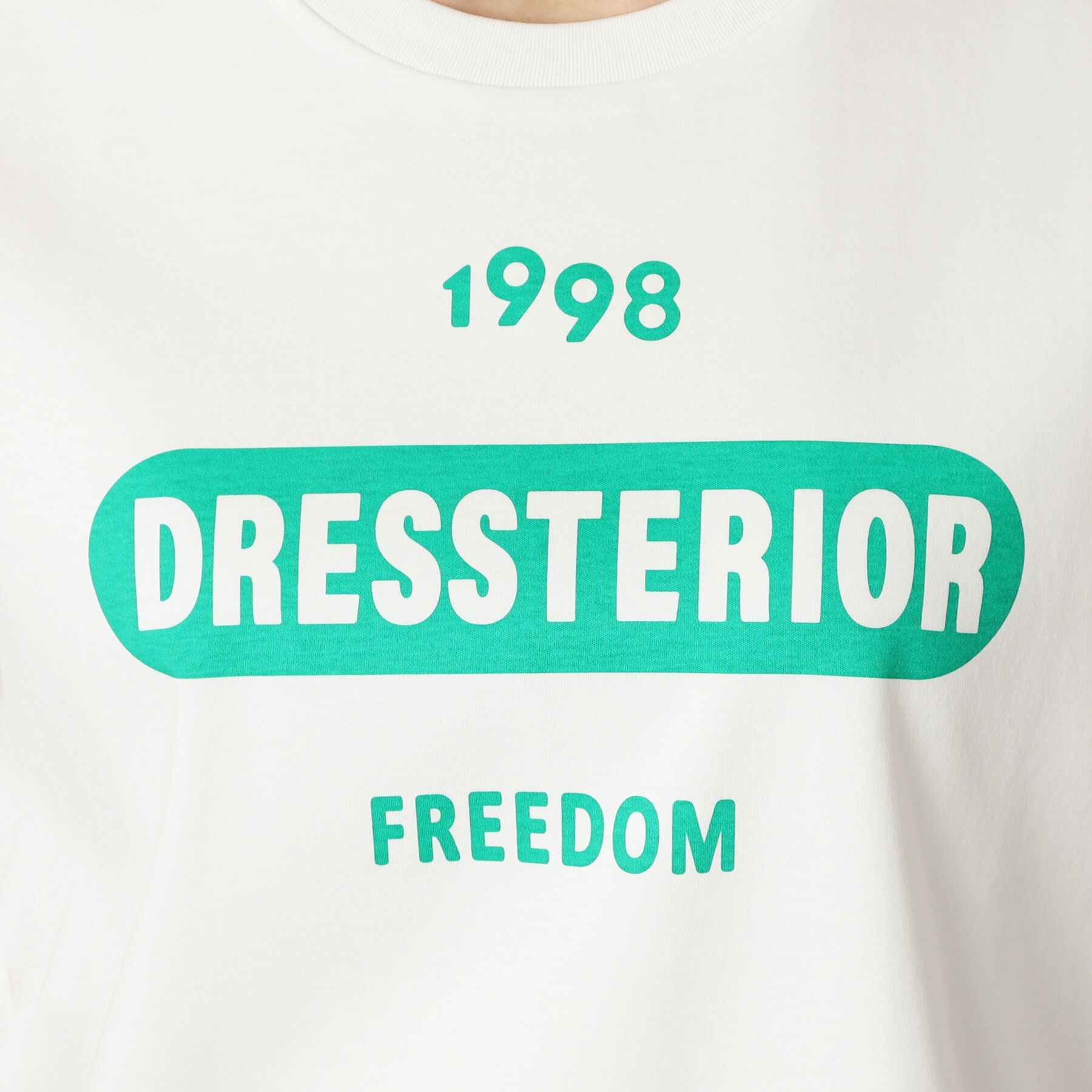 DRESSTERIOR「【接触冷感/抗菌防臭/消臭】ルクア・EC限定アニバーサリーTシャツ」|Tシャツ・カットソー|