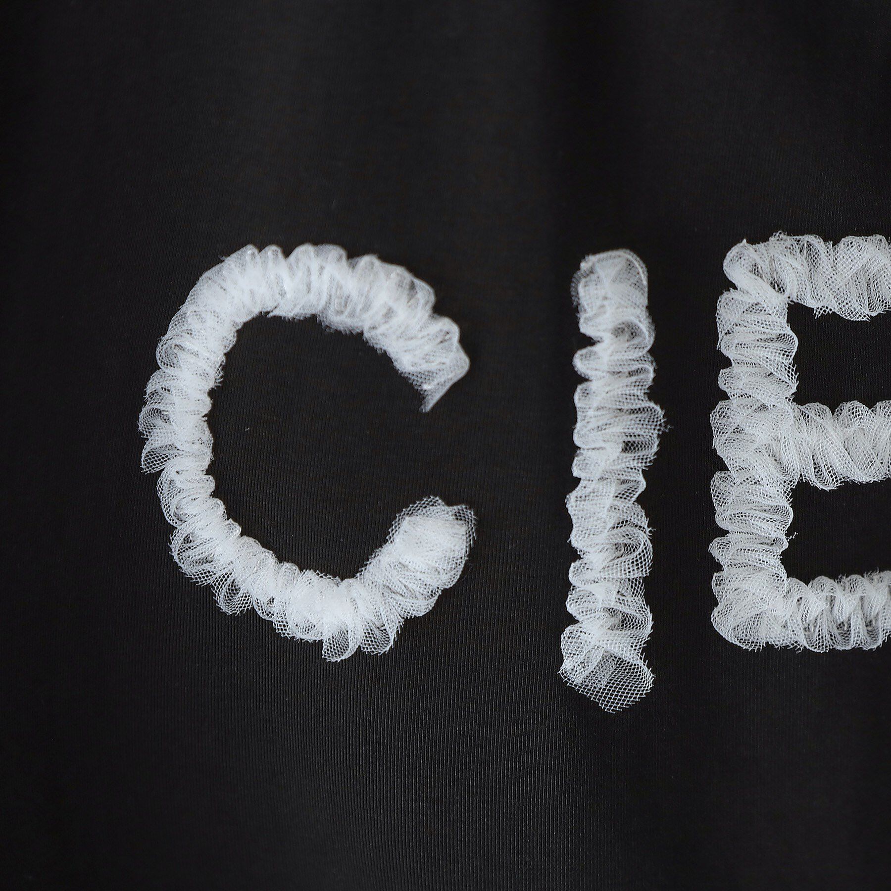 DRESSTERIOR「クリア天竺チュールCIELロゴTシャツ」|Tシャツ・カットソー|