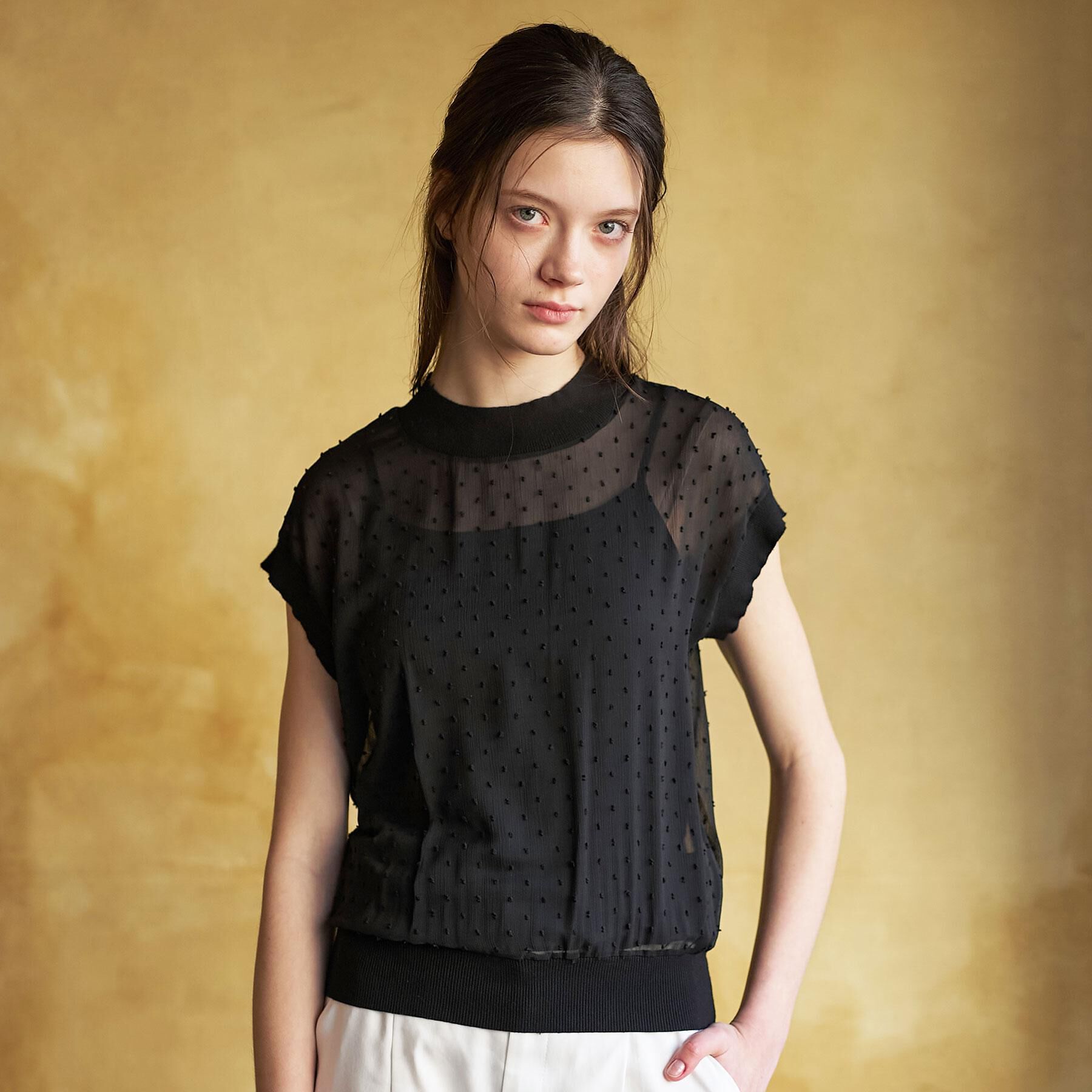 DRESSTERIOR「【ウォッシャブル/シアー】ドットジャカード プルオーバー」|シャツ・ブラウス|ブラック(019)