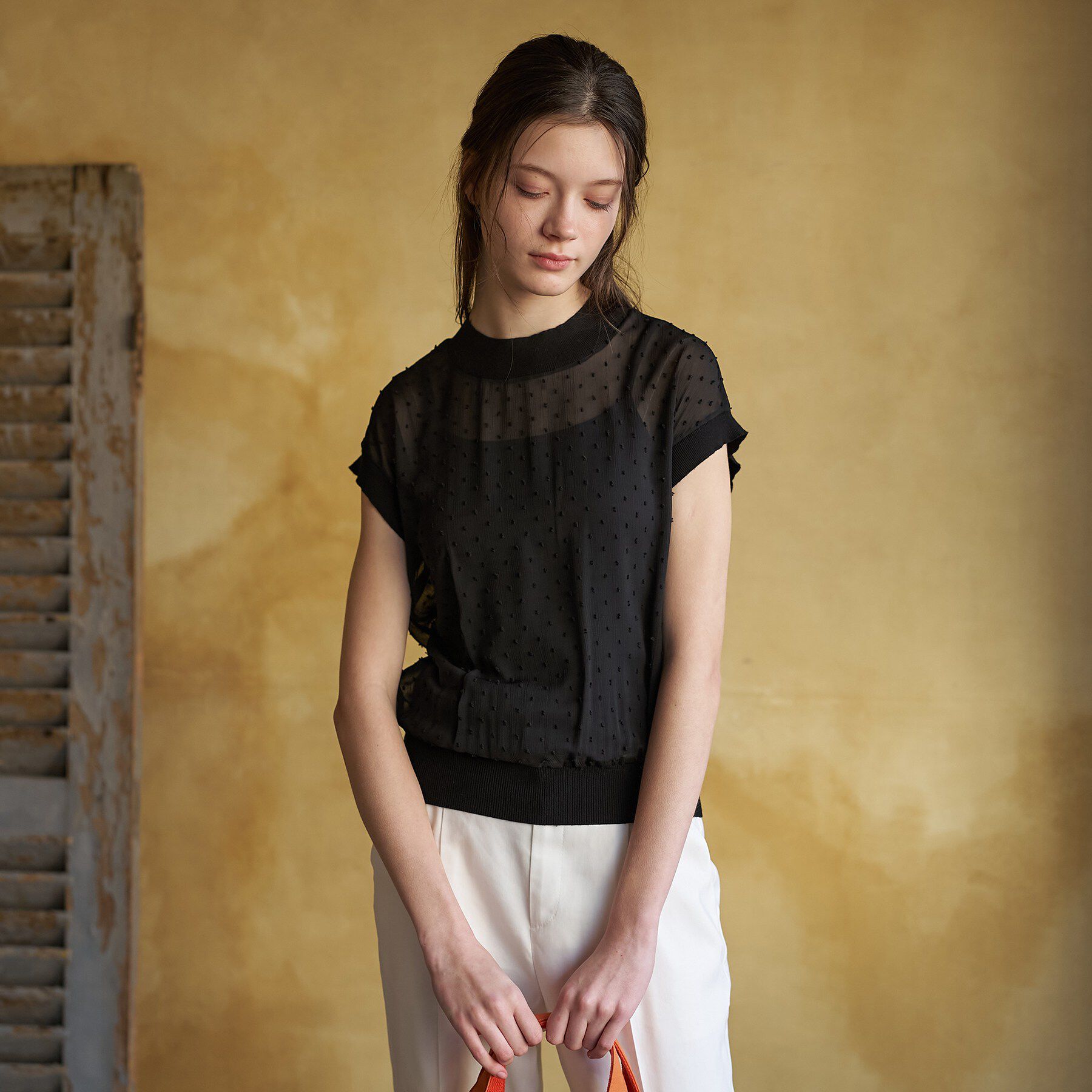 DRESSTERIOR「【ウォッシャブル/シアー】ドットジャカード プルオーバー」|シャツ・ブラウス|