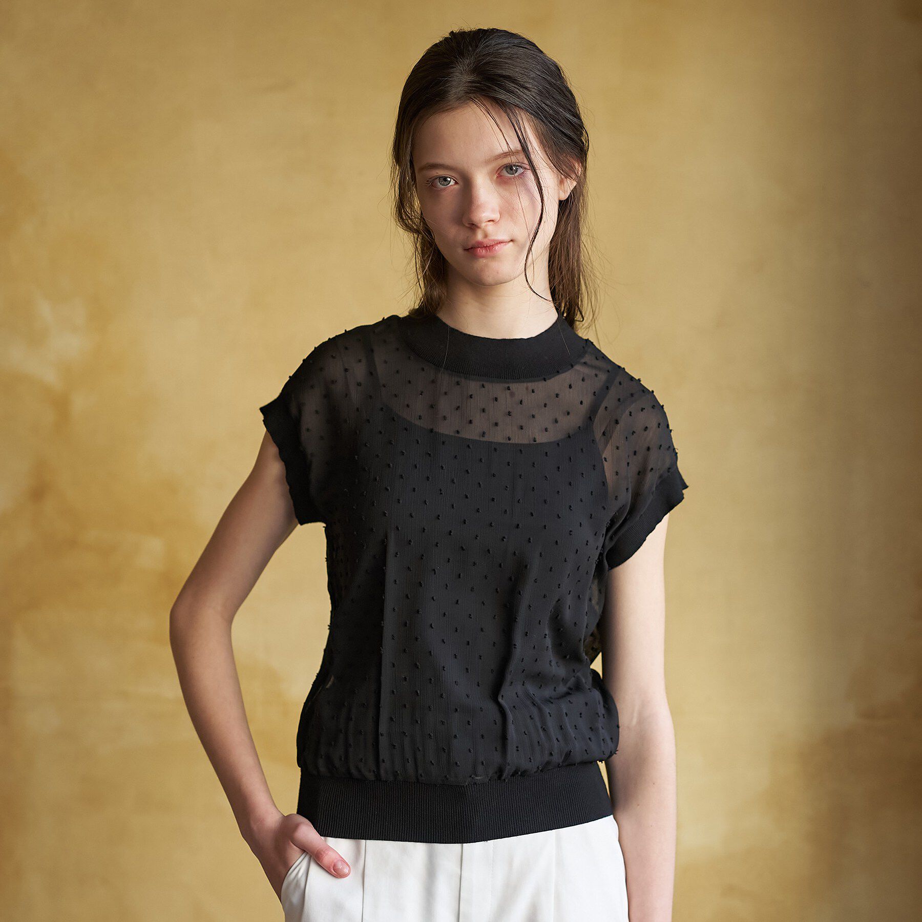 DRESSTERIOR「【ウォッシャブル/シアー】ドットジャカード プルオーバー」|シャツ・ブラウス|