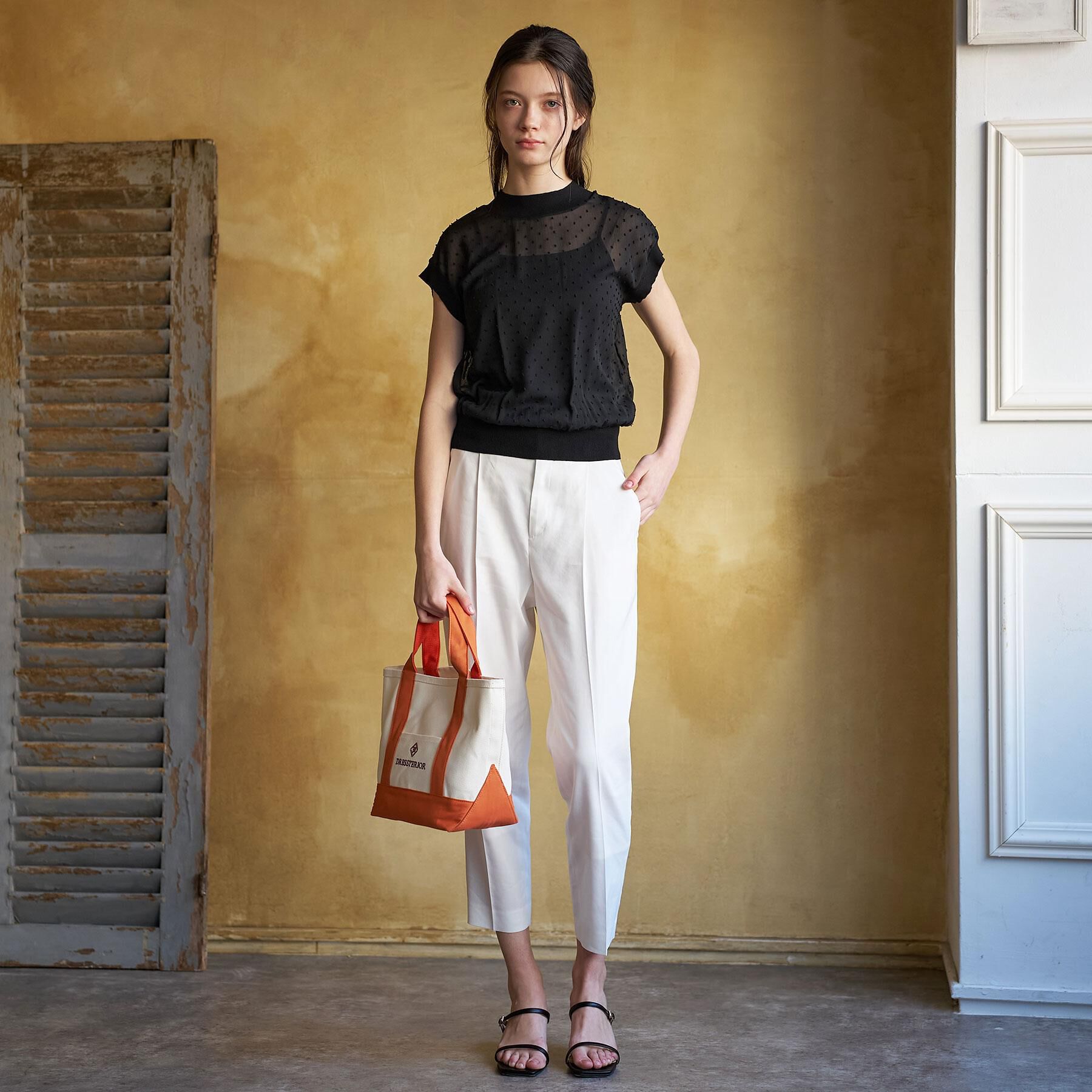 DRESSTERIOR「【ウォッシャブル/シアー】ドットジャカード プルオーバー」|シャツ・ブラウス|