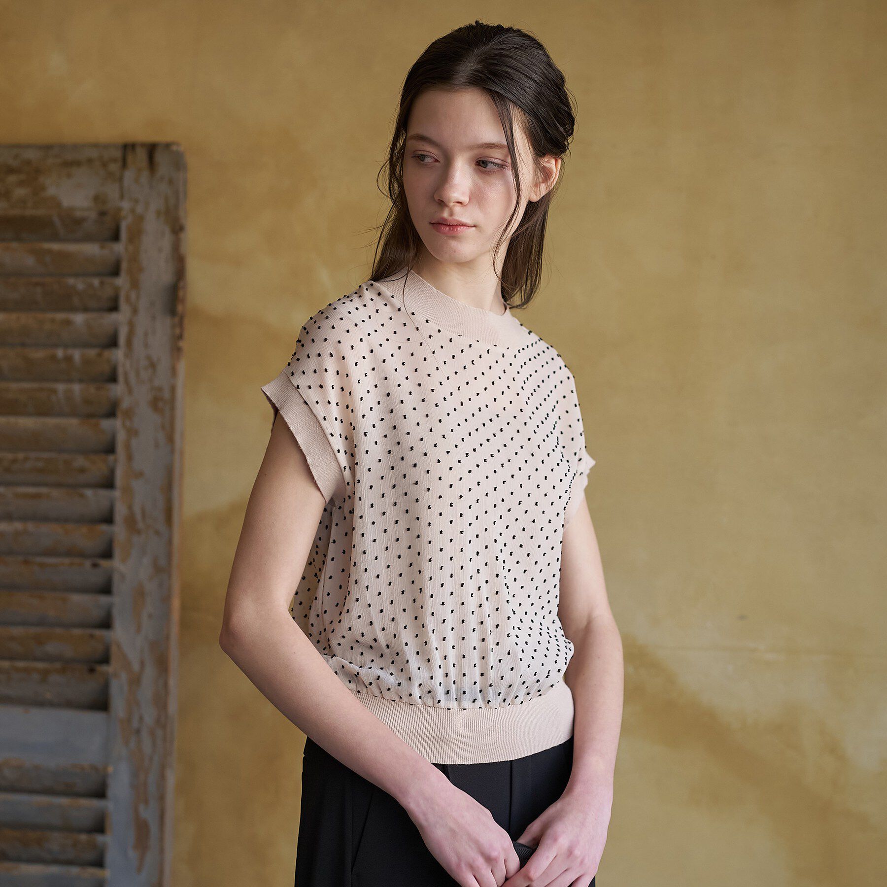 DRESSTERIOR「【ウォッシャブル/シアー】ドットジャカード プルオーバー」|シャツ・ブラウス|