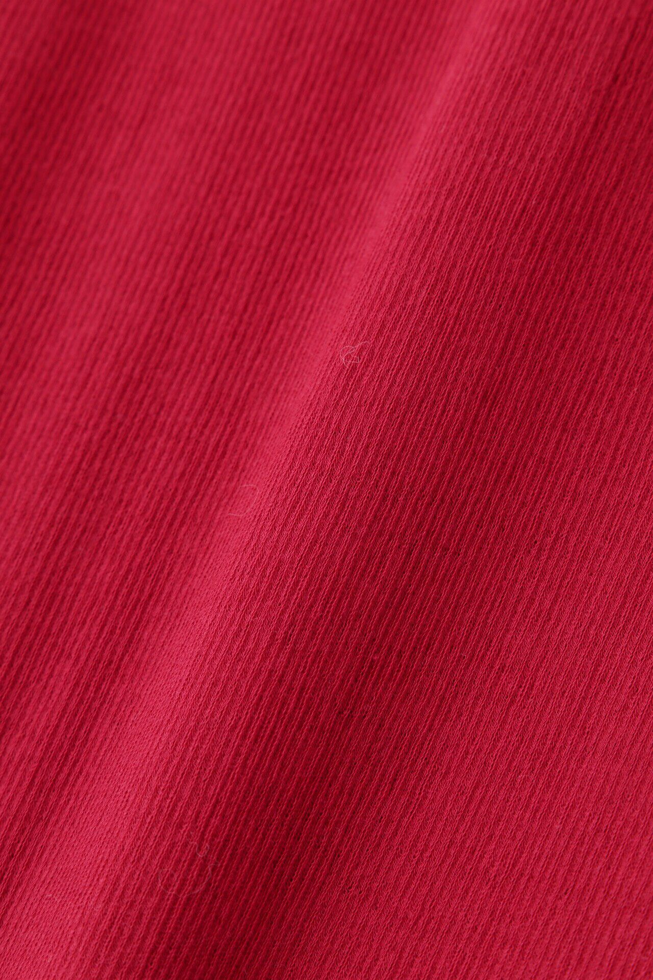  「◆シアータートル」|Tシャツ・カットソー|