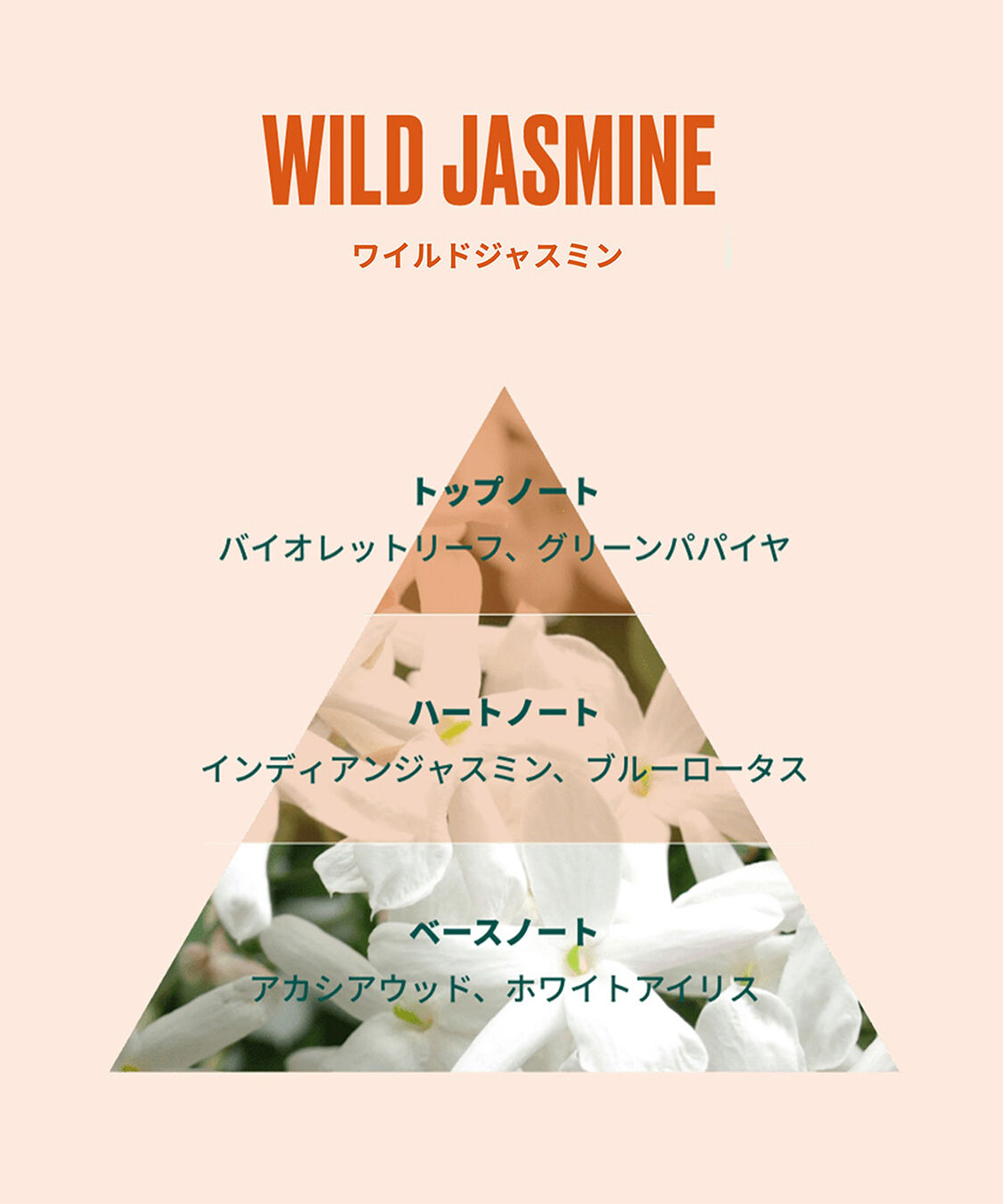 THE BODY SHOP「【数量限定】ワイルド ジャスミン オードトワレ 9.5mL」|香水・フレグランス|