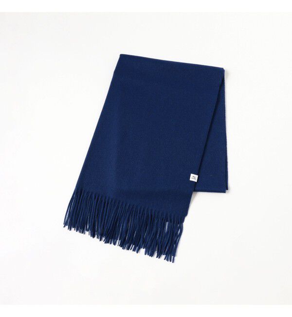 Ray BEAMS 「カシミヤ ストール 25AW」|ストール|