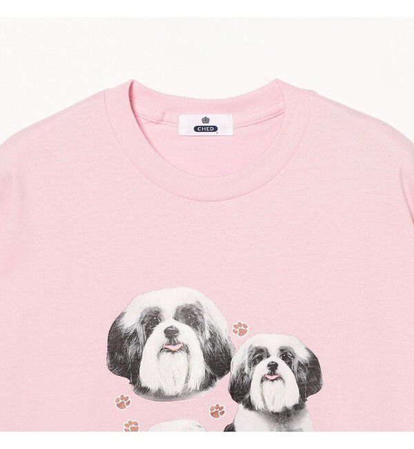 BEAMSBOY「【別注】CHED / DOG Tシャツ」|Tシャツ・カットソー|