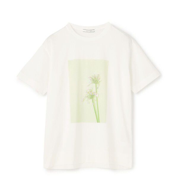 BEIGE,「【洗える・クロワッサン 掲載】PENTAS / オリジナルフォトプリントＴシャツ」|Tシャツ・カットソー|