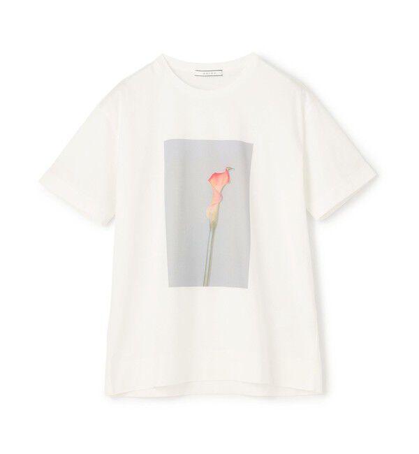 BEIGE,「【洗える・クロワッサン 掲載】PENTAS / オリジナルフォトプリントＴシャツ」|Tシャツ・カットソー|