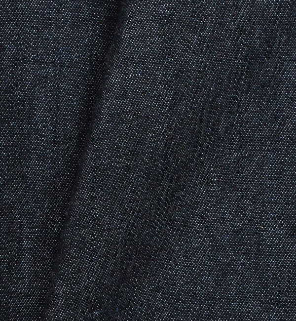 NOLLEY'S goodman「【DANTON/ダントン】DT-B0293DUG DOT BUTTON B.D. SHIRT LS 26SS」|シャツ・ブラウス|