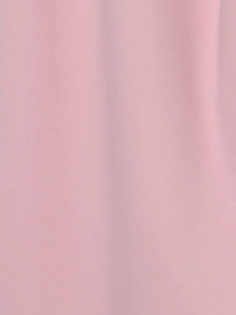 Te chichi「ポンチハイウエストカーブパンツ《2026 spring catalog item》」|その他|