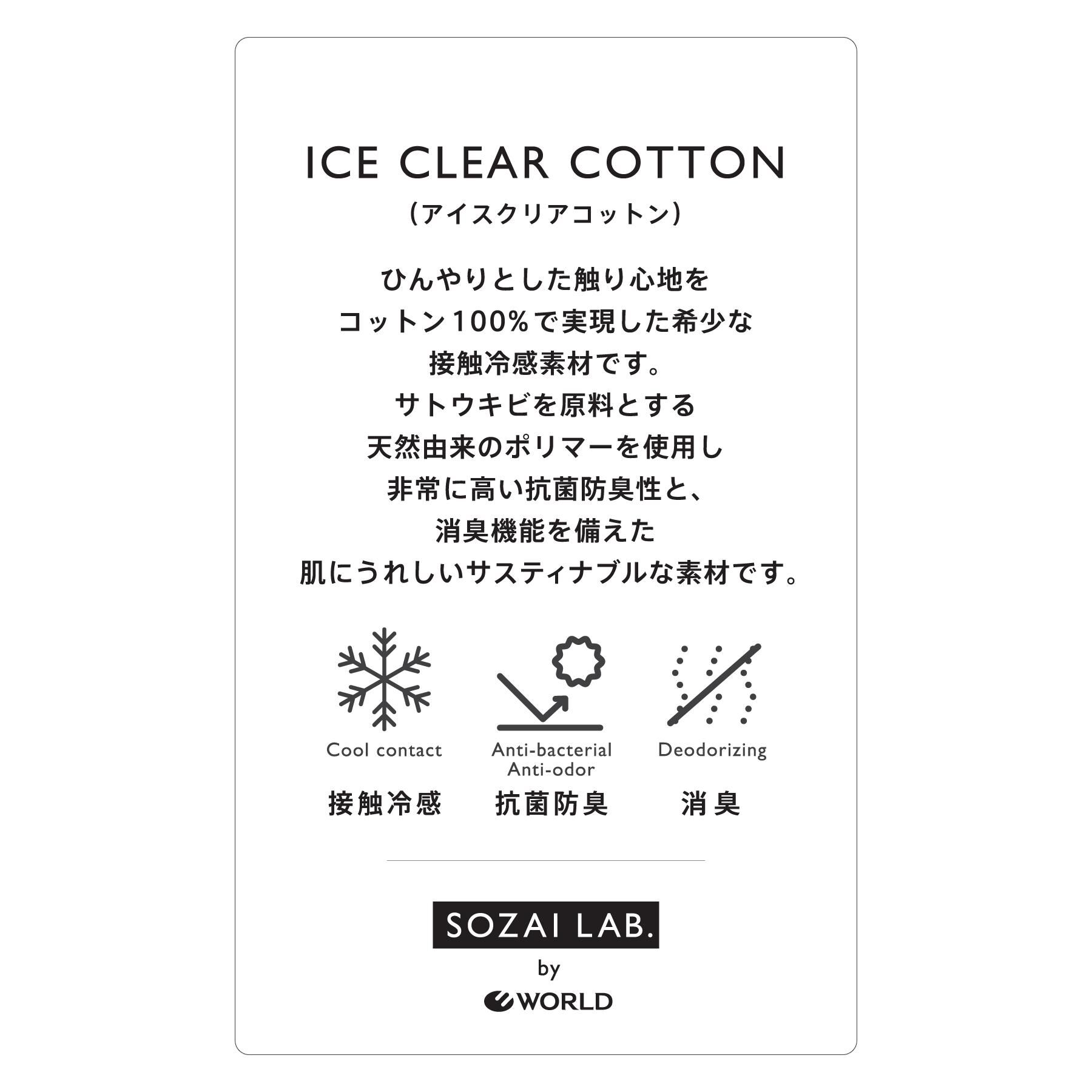 DRESSTERIOR「【接触冷感／抗菌防臭／消臭】アイスクリアコットンTシャツ」|Tシャツ・カットソー|