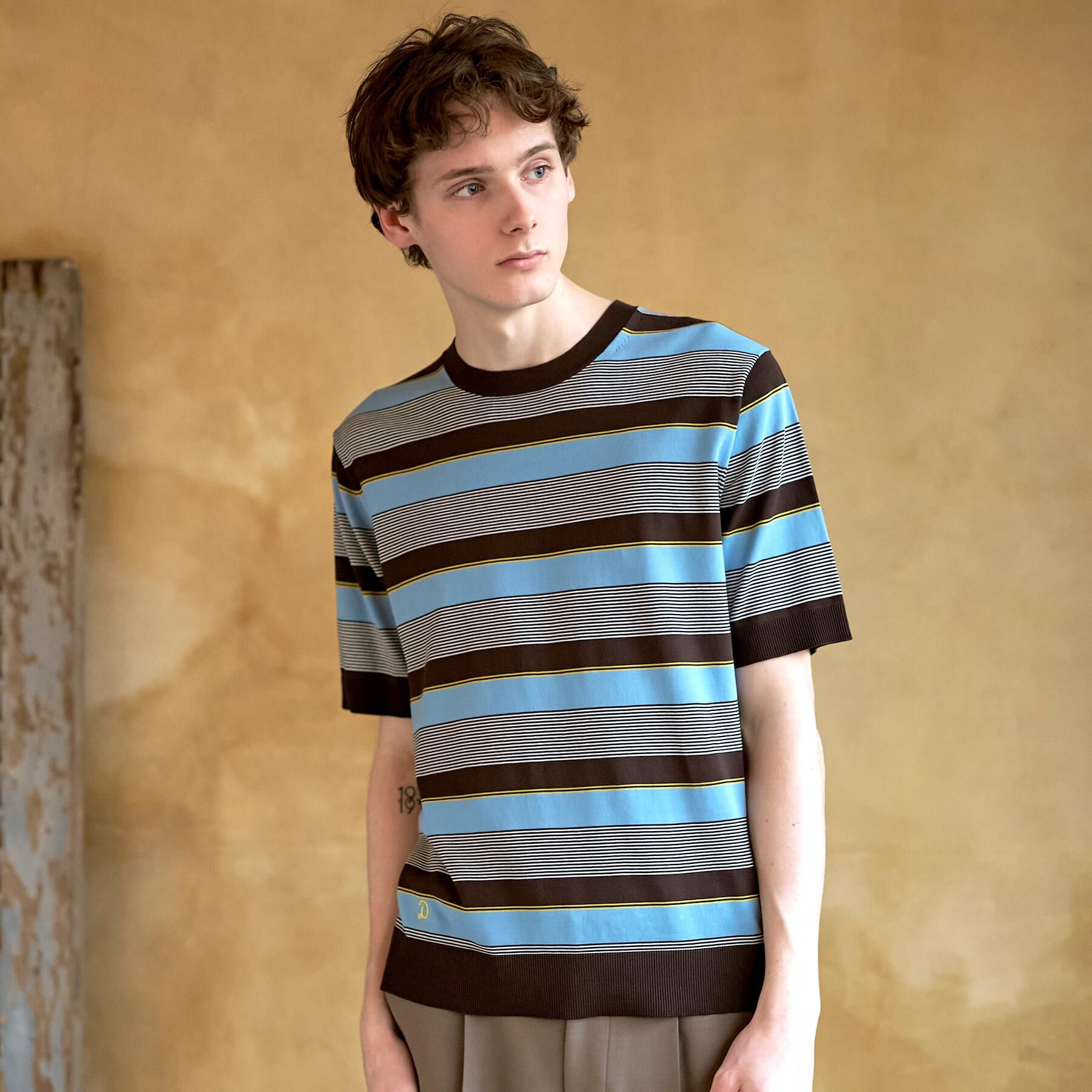 DRESSTERIOR「【ウォッシャブル】コットンシルク マルチボーダーニット」|ニット・セーター|ブラウン(344)