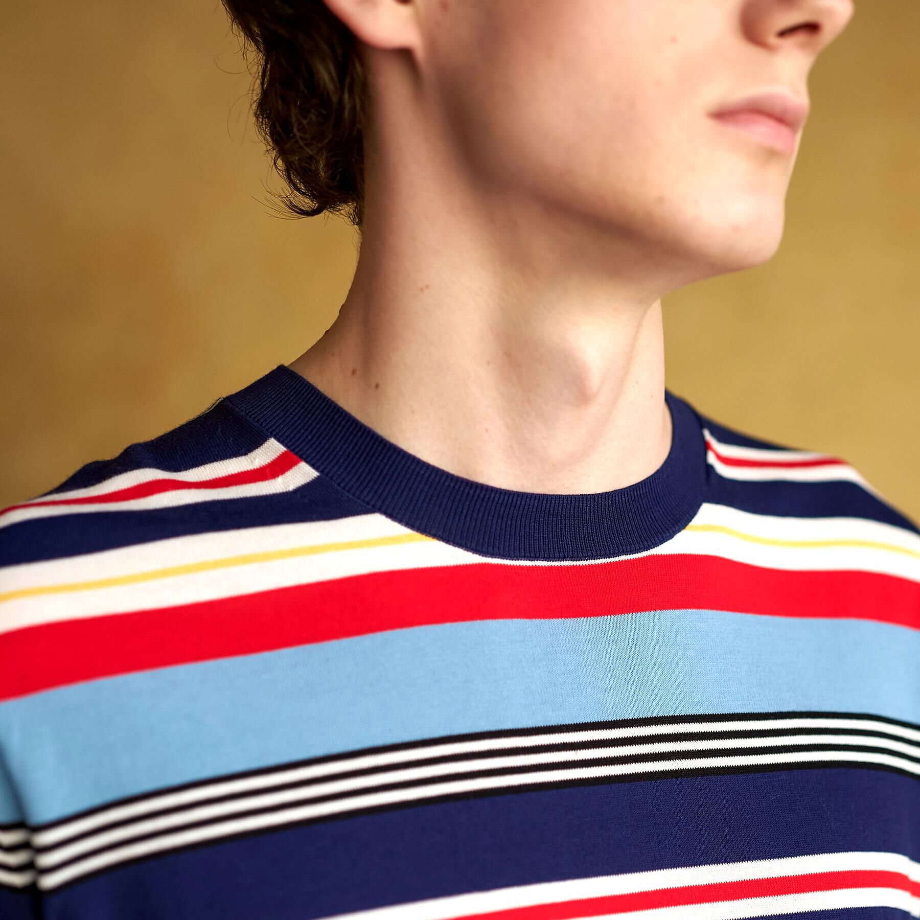 DRESSTERIOR「【ウォッシャブル】コットンシルク マルチボーダーニット」|ニット・セーター|