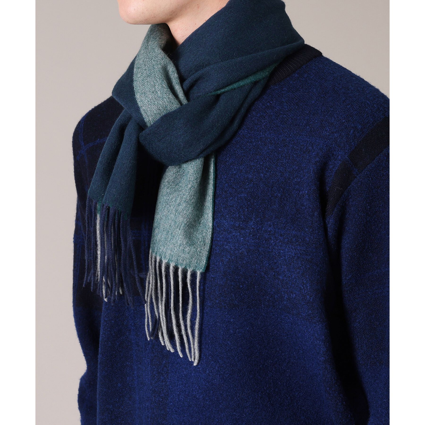 TAKEO KIKUCHI「【カシミヤ100%】パネル カシミヤマフラー」|ストール|