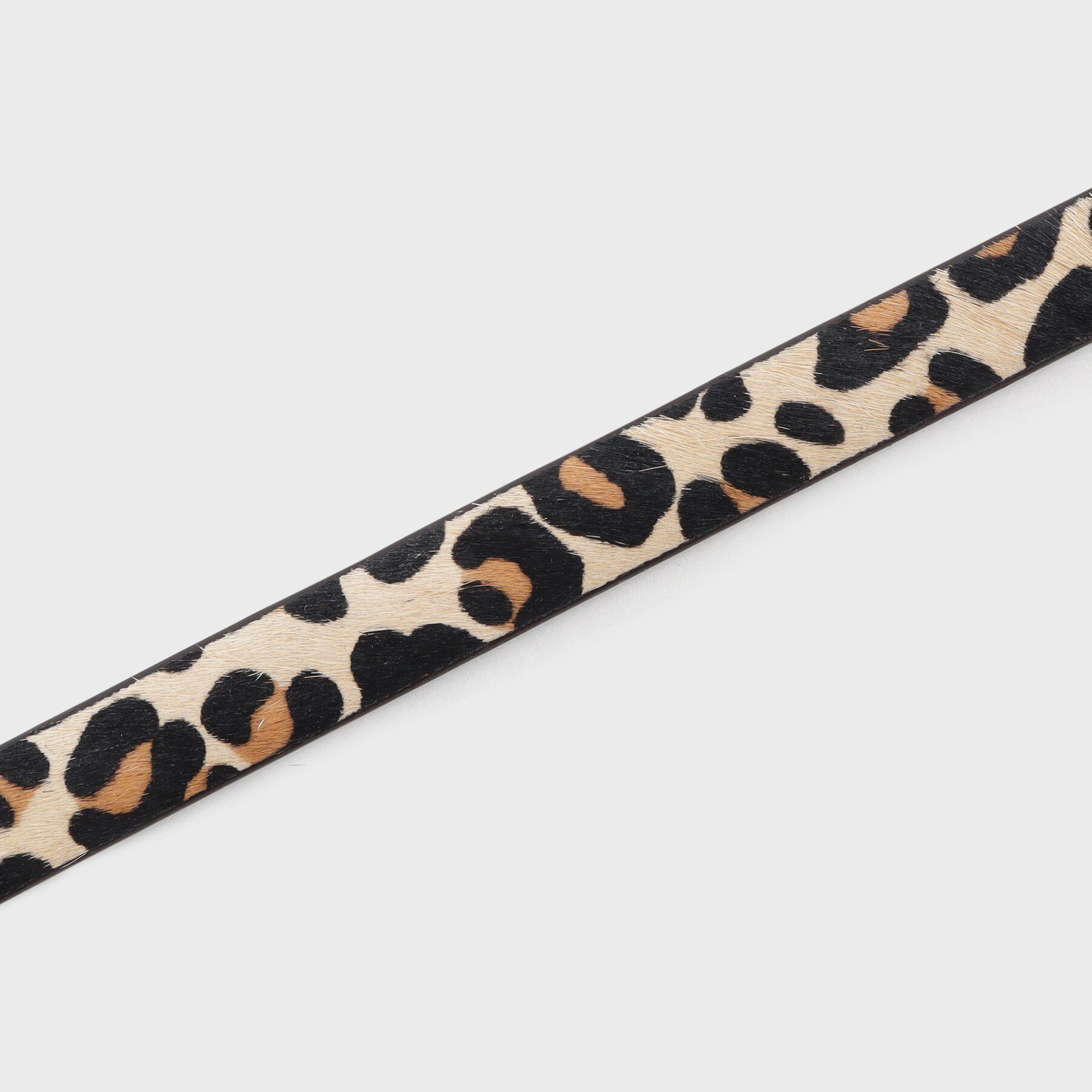 OPAQUE.CLIP「本革ノンホールスライドアニマルベルト」|ベルト|