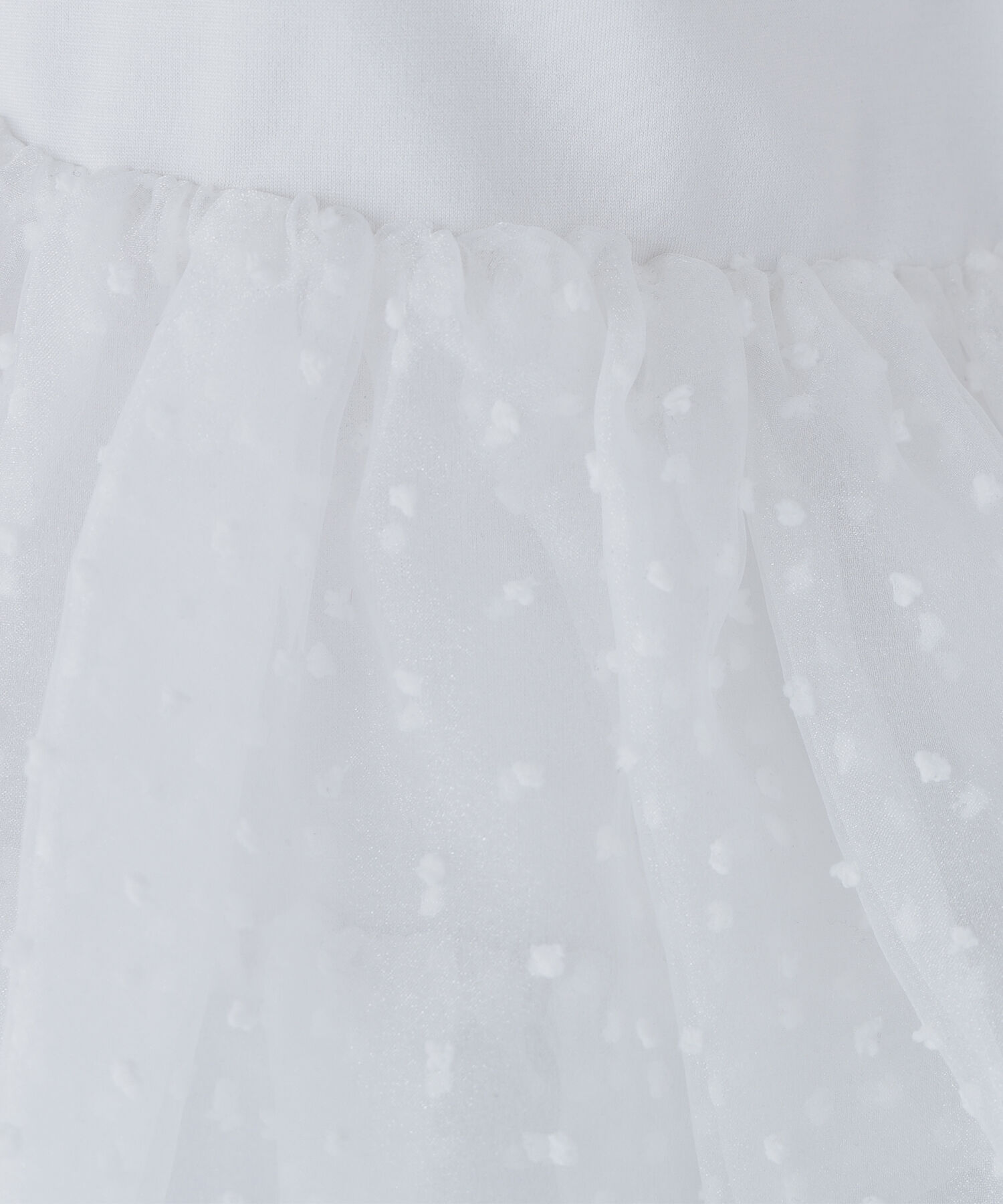  「カットドビーティアードカットソー」|Tシャツ・カットソー|