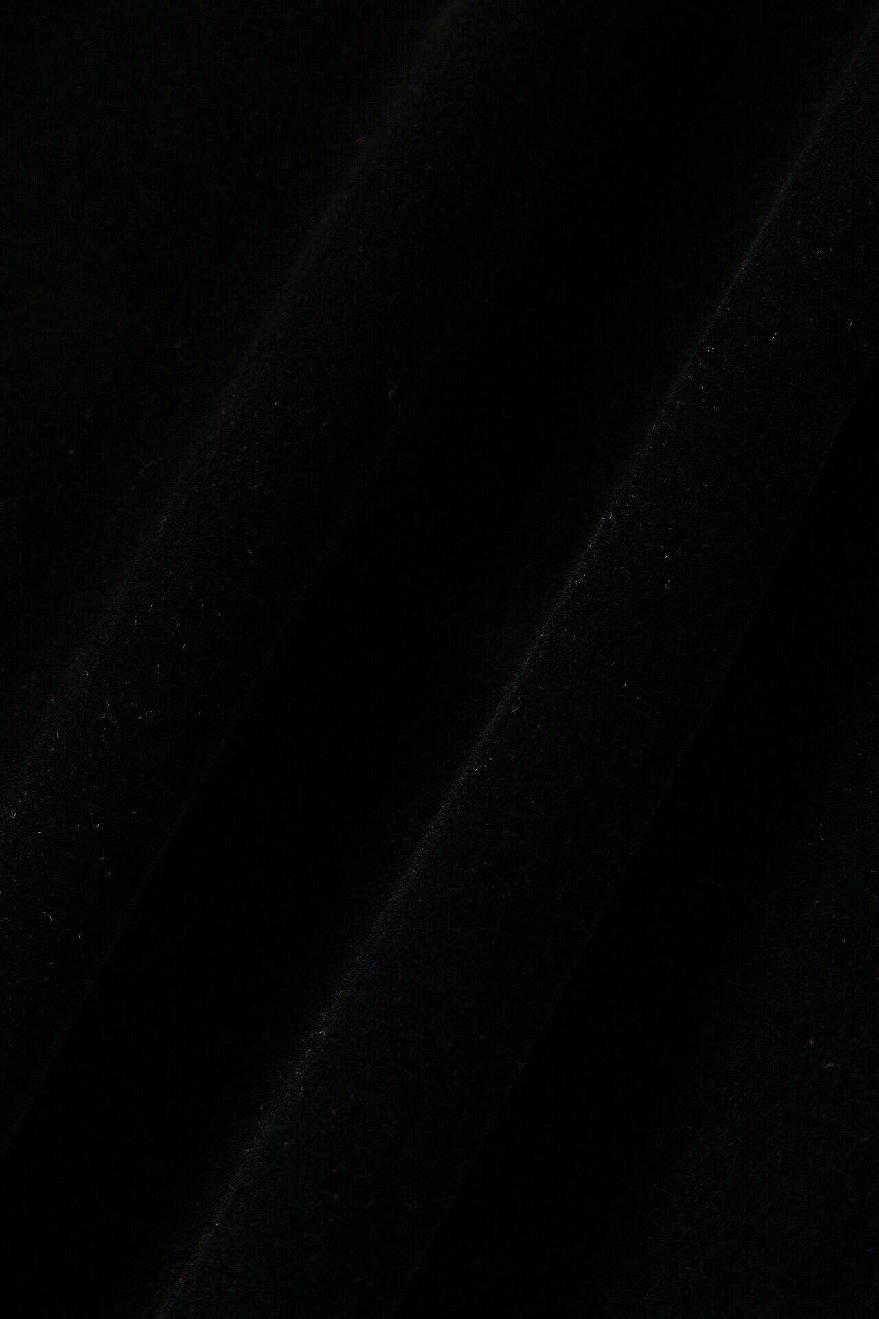  「◆チュールフロッキーパフスリーブプルオーバー」|Tシャツ・カットソー|