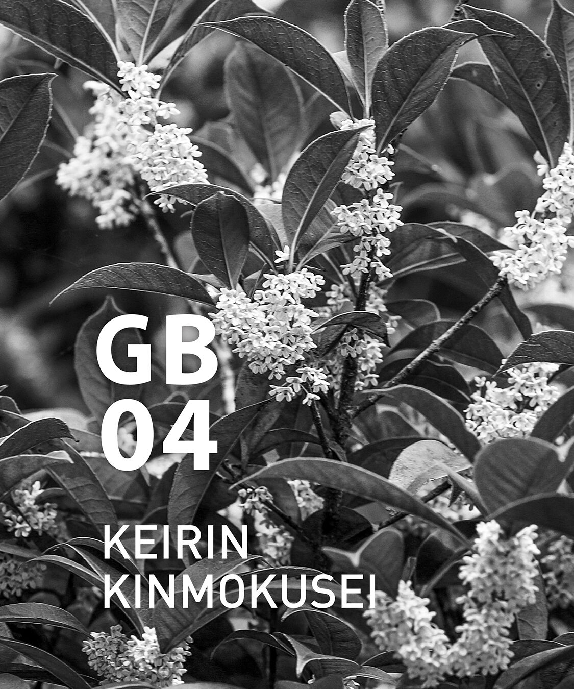 アットアロマ「GB04 桂林キンモクセイ 10ml」|アロマ・ルームフレグランス|