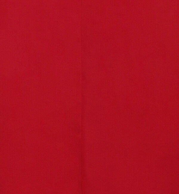 Ballsey「Cherie スクエア＆Vネックフロンタブルブラウス」|シャツ・ブラウス|