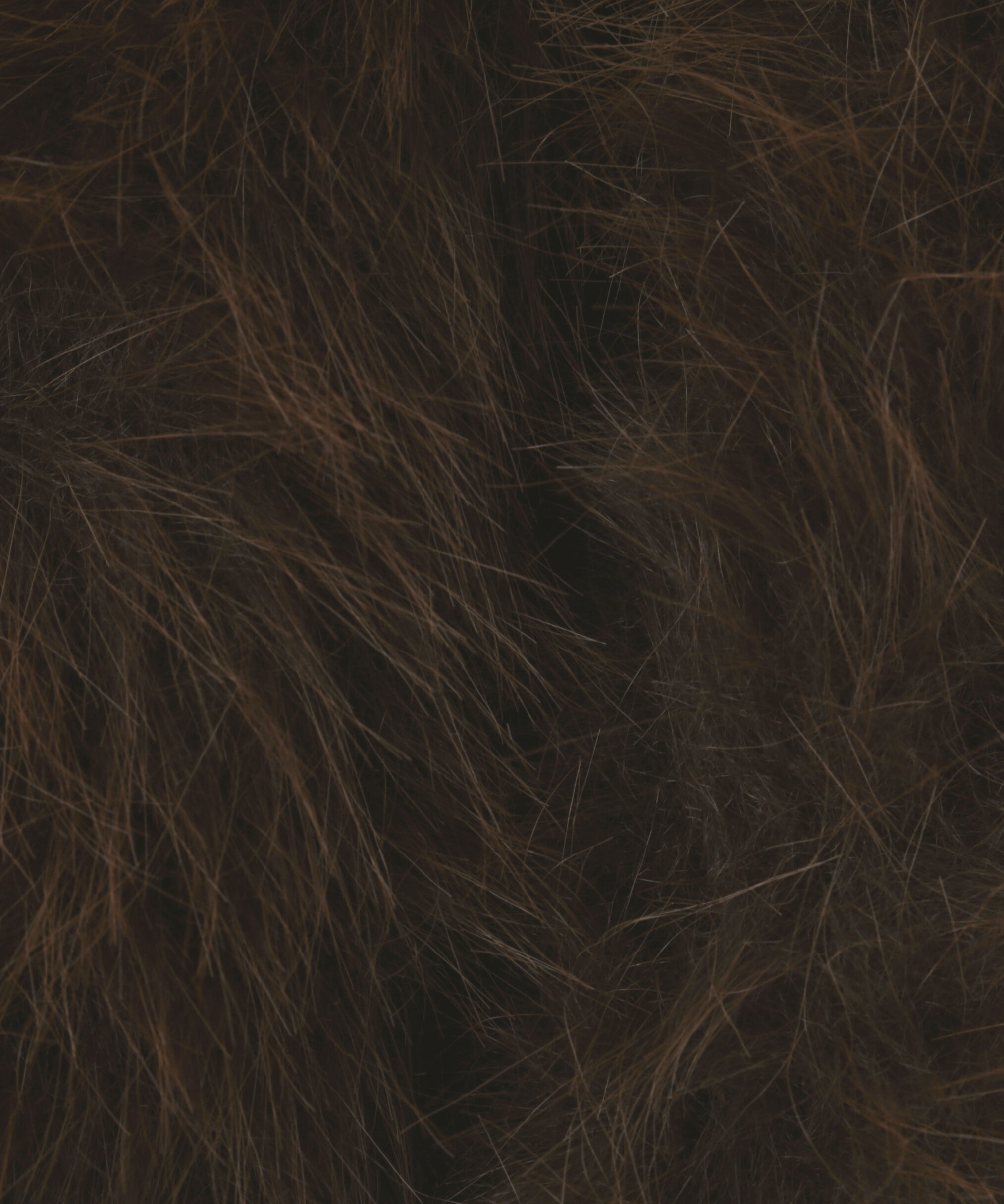 PROPORTION BODY DRESSING「モッサフードフェイクファーロングコート 25AW」|その他|