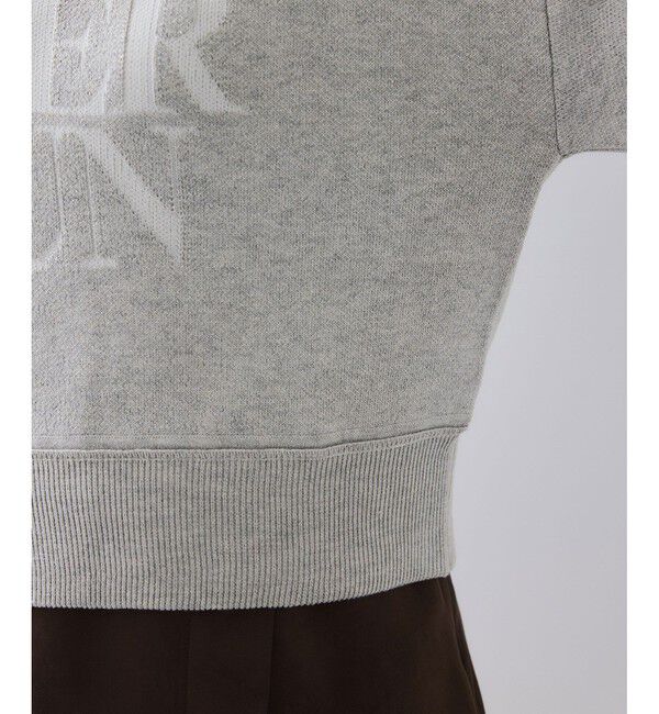 VIS「スウェットライクジャガードロゴニット」|ニット・セーター|