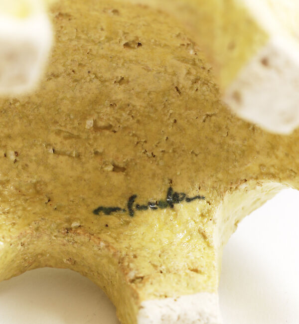 collex「【collex&times;鈴木マサル】tent(テント)」|アート|