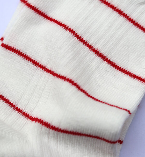 Rouge vif「【Robert P.Miller/ロバートピーミラー】1Pソックス クルー/靴下」|ソックス|