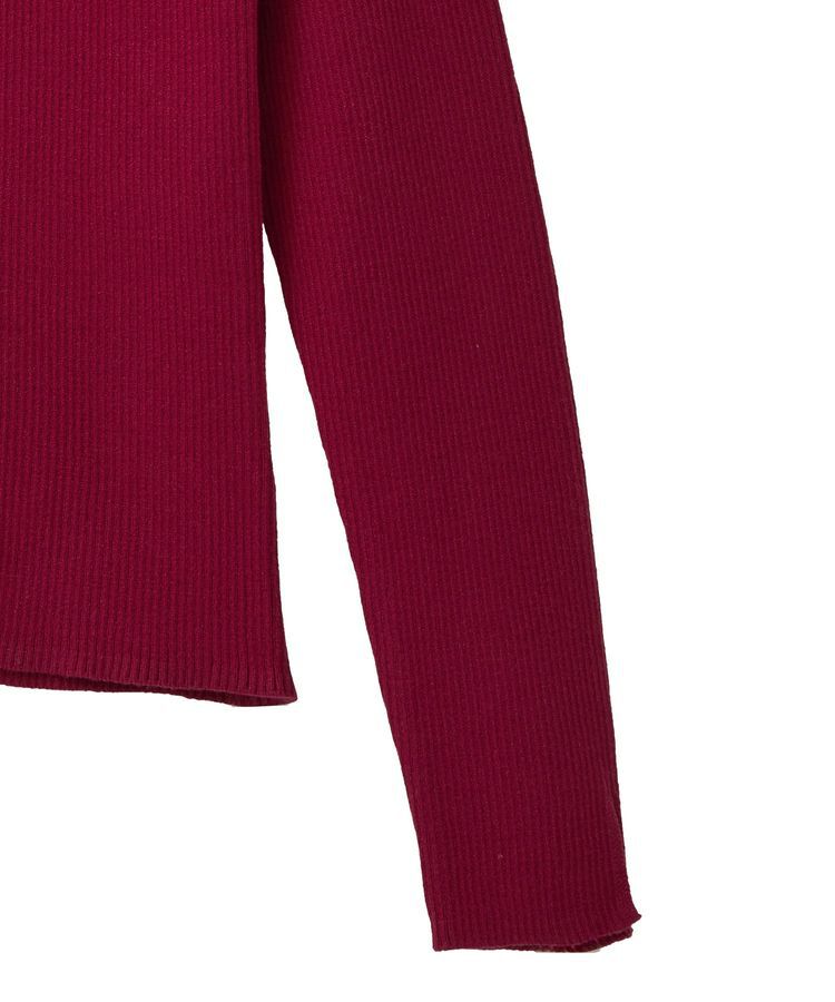 earth music&ecology「レンチング(TM)エコヴェロ(TM)(リブタートル)」|ニット・セーター|