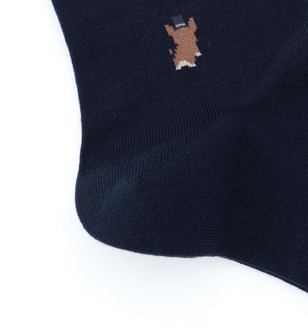 MACKINTOSH PHILOSOPHY「コーギー カジュアルソックス」|ソックス|